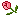 Flower1